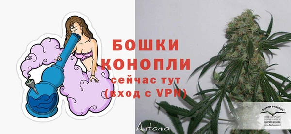 индика Богданович
