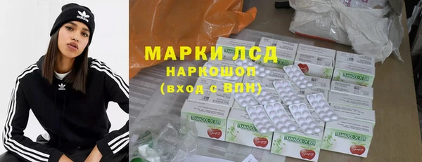 индика Богданович