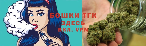 индика Богданович