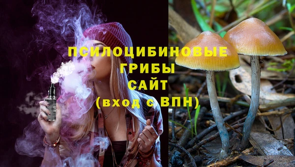 spice Белокуриха