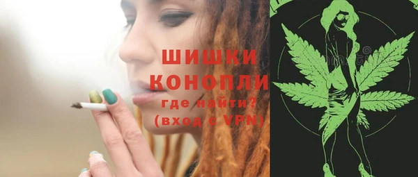 spice Белокуриха