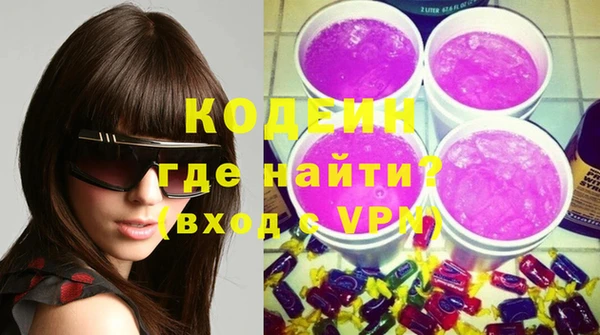 индика Богданович