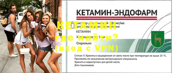 индика Богданович