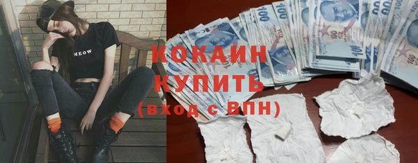 индика Богданович